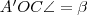 A'OC\angle =\beta