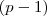 (p-1) (p-1)